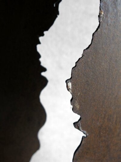 L'homme qui marche - Image 4