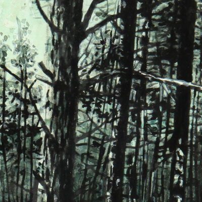 Un homme across the universe : forêt (1) - Image 2