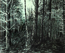 Un homme across the universe : forêt (1)