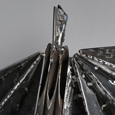 La parade - Image 2