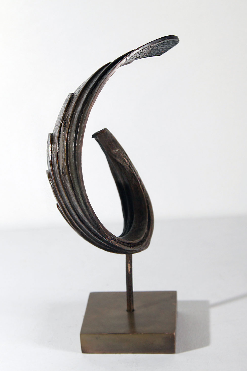 L'oiseau narcisse – Image 2