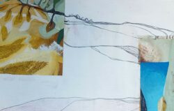 Traces