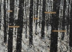 Un homme across the universe : forêt (2)