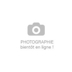 Pluie verte